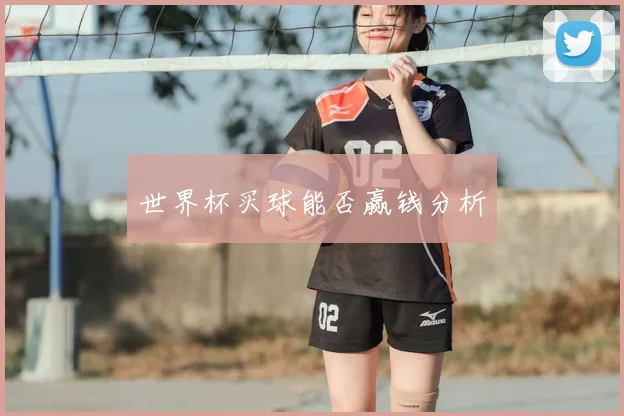世界杯买球能否赢钱分析