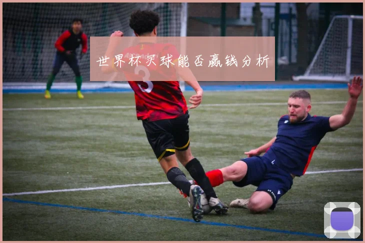 世界杯买球能否赢钱分析