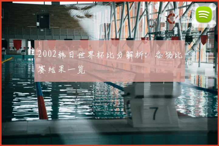 2002韩日世界杯比分解析：各场比赛结果一览